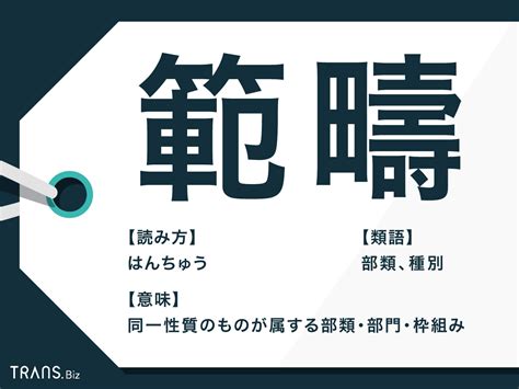 範疇先生|「範疇」の意味とは？使い方や例文と類語「範囲」との違いも紹。